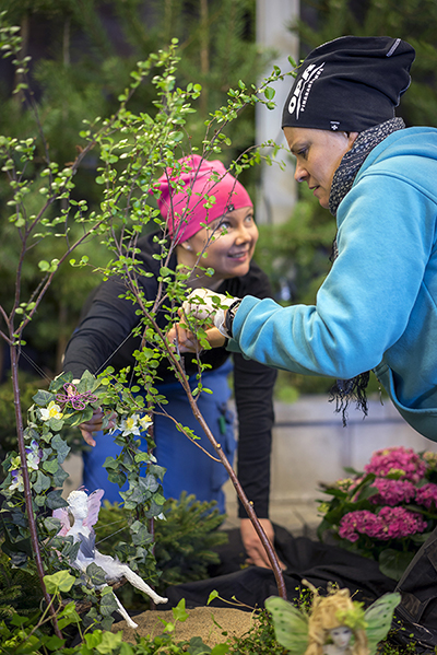 Kaksi naista valmistelevat keväällä 2015 järjestettyä Floralia-näyttelyä. He istuttavat puden taimia ruukkuihin.